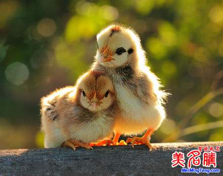 杭州新生兒最熱名字排行榜首次權(quán)威公開,起名漸趨中性化:宇軒、梓涵、梓睿、詩涵最多