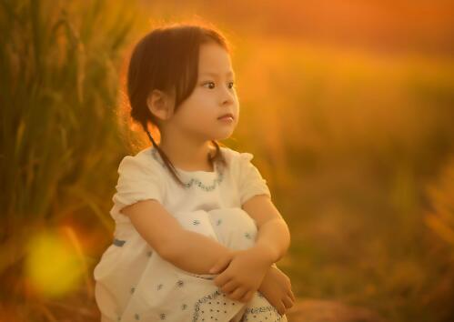 2023年兔年女寶寶五格數(shù)理吉的名字大全