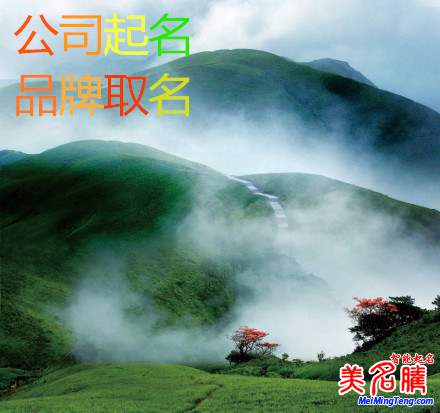 工商總局:企業(yè)名稱數(shù)據(jù)庫將開放 公司取名不再難