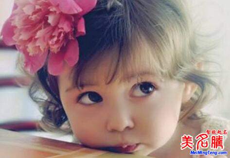 雞年女寶寶起名