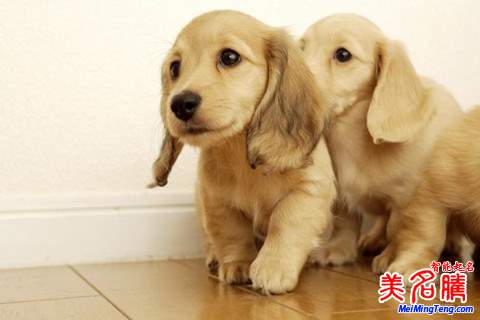 狗年男寶寶起名大全2018吉祥好聽(tīng)