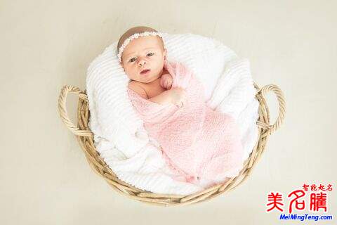 “豬年出生寶寶取名大全2019版”