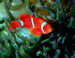 名字給人的感覺:明星們的藝名和改名前的原名