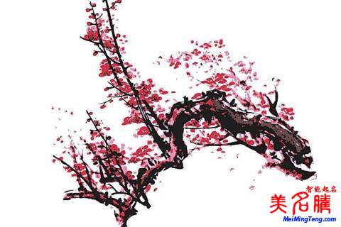 2018梅姓寶寶最詩(shī)意、最不凡的名字大全