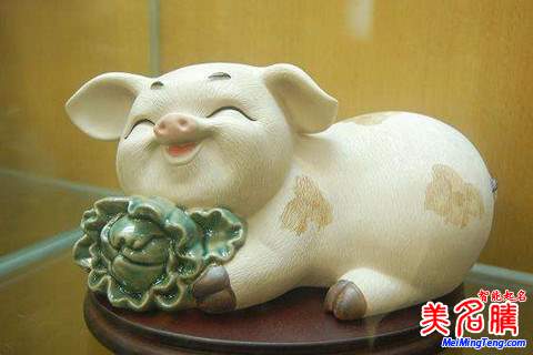 劉姓寶寶屬豬如何起名，劉姓寶寶起名