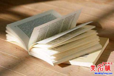 典雅的夏姓寶寶起名測(cè)試大全