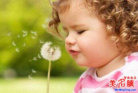 2019屬豬寶寶幾月出生好?