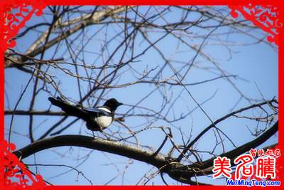 2017立春:百年一遇 2月3日立春罕見(jiàn)