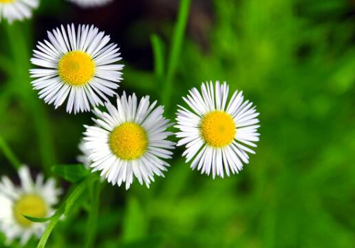 2021牛年寶寶起名取名宜用字都有哪些？