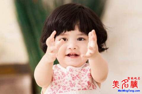 2017年雞年帶“?！弊值膶殞毱鹈? border=