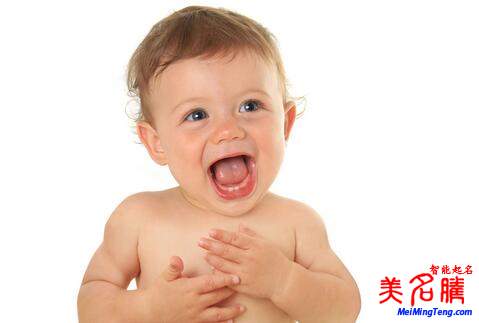 楊姓起名，楊姓屬狗男寶寶起名大全