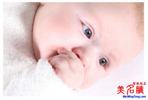 楊姓起名，楊姓屬狗男寶寶起名大全