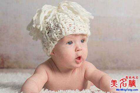 2019豬年寶寶運勢如何？