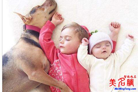 最氣質的女孩詩經起名